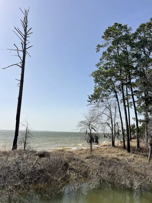 Caney Creek Recreation Area - Angelina National Forest Picture 6
