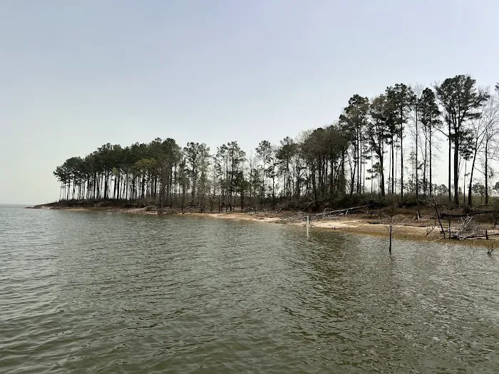 Caney Creek Recreation Area - Angelina National Forest Picture 3