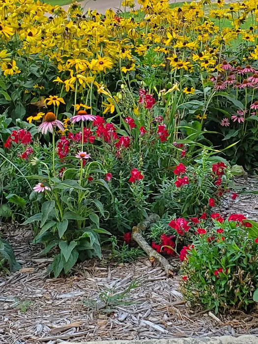 Chautauqua Park Campground Picture 9