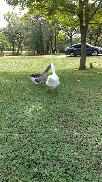Chautauqua Park Campground Picture 6