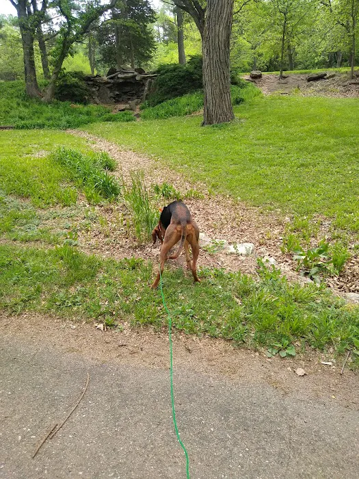 Chautauqua Park Campground Picture 8
