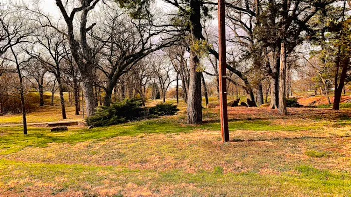Chautauqua Park Campground Picture 2