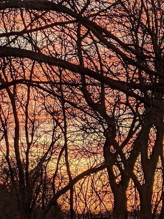 Riverside Park Campground Picture 1