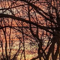 Riverside Park Campground ico