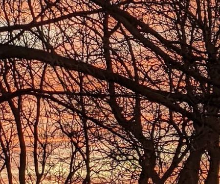 Riverside Park Campground