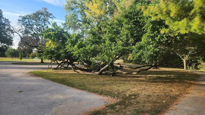 Riverside Park Campground Picture 7