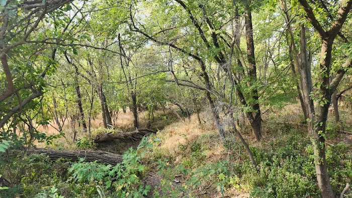 Riverside Park Campground Picture 3