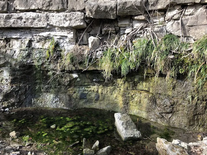 Feit Memorial Park Campground Picture 4