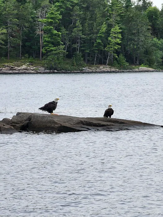 BWCA Campsite #374 Picture 1