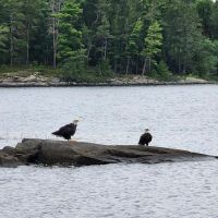 BWCA Campsite #374 ico