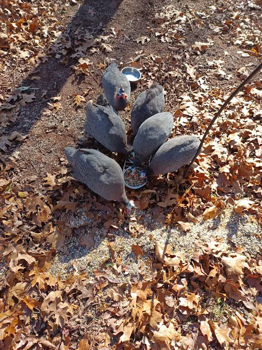 Redtail Campground Picture 1