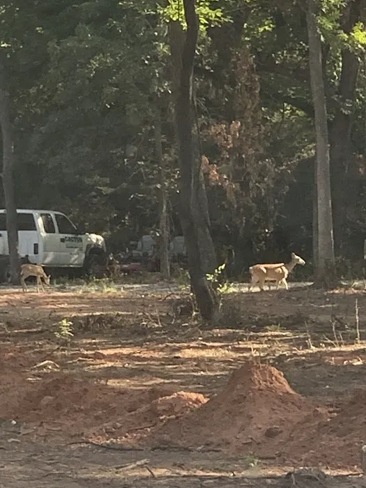 Redtail Campground Picture 6