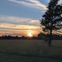 Outlet Park Youth Camping Area ico
