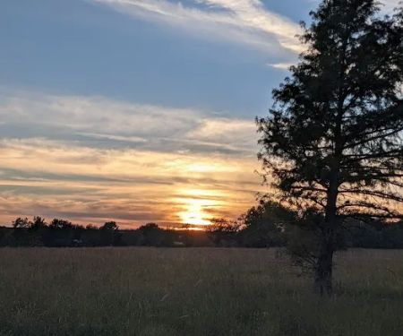 Outlet Park Youth Camping Area