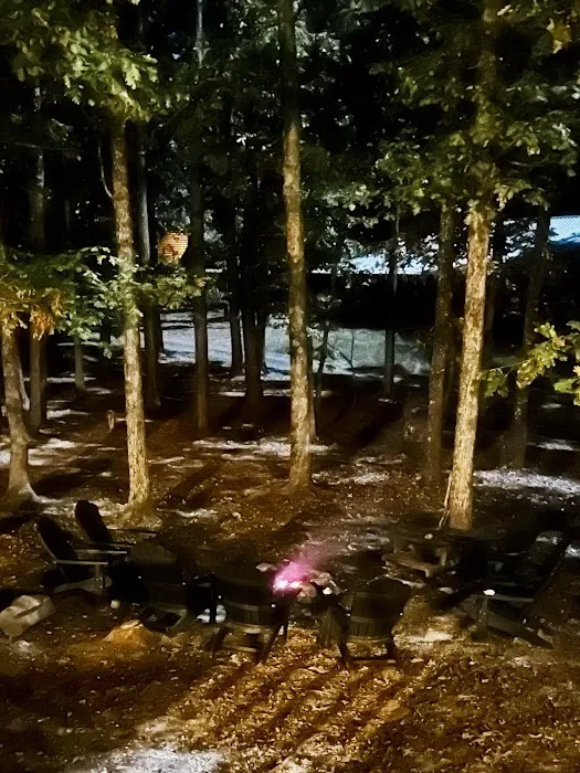 The Nomad Lodge Picture 2