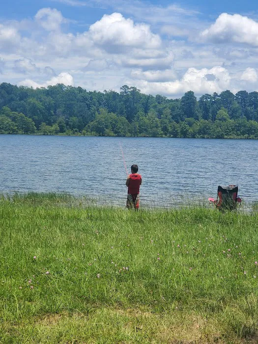 Shirley Creek Campground Picture 1