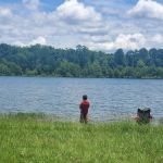 Shirley Creek Campground