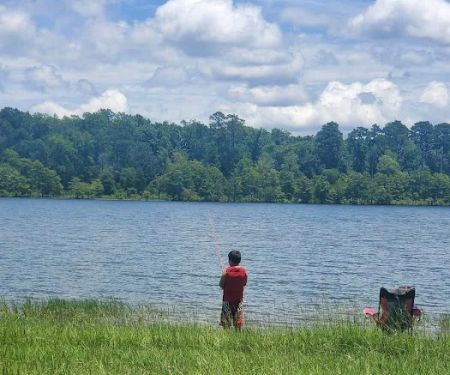 Shirley Creek Campground
