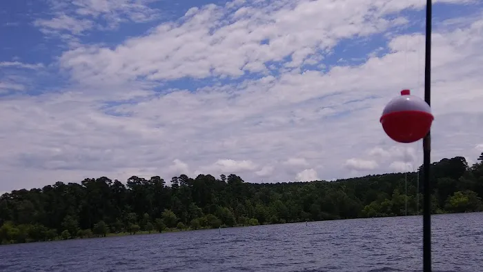 Shirley Creek Campground Picture 3