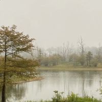 Campsite #35 ico