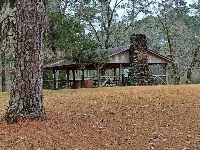 Boles Field Campground - Sabine National Forest Picture 5