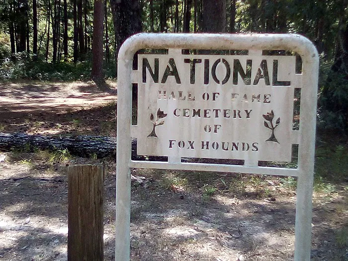 Boles Field Campground - Sabine National Forest Picture 2