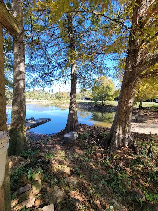 Bill's Landing Picture 3