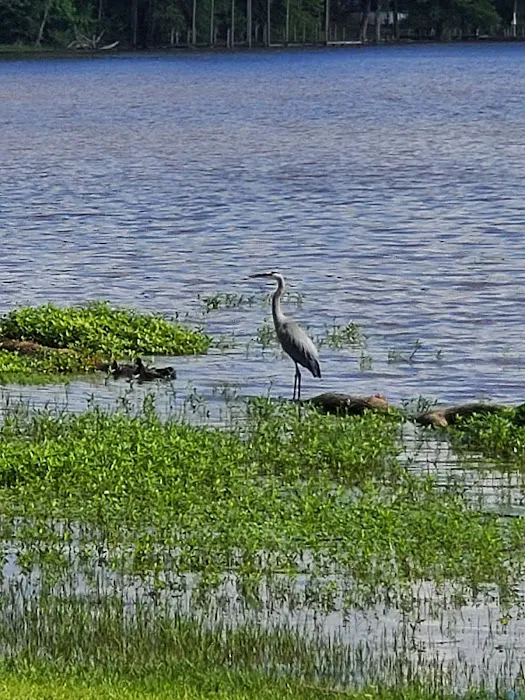 Oak Ridge Park - SRA Picture 9