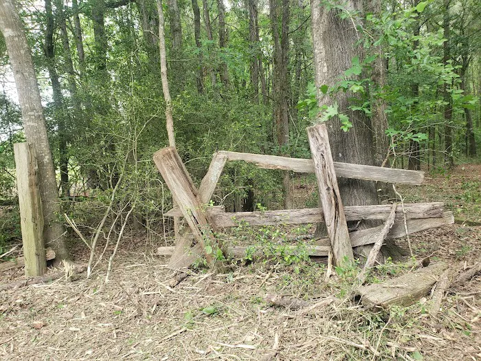 Wagner Springs Picture 1