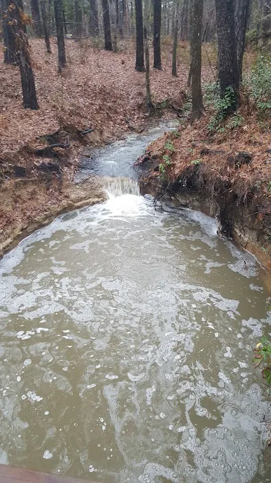 Boykin Springs Recreation Area Picture 5