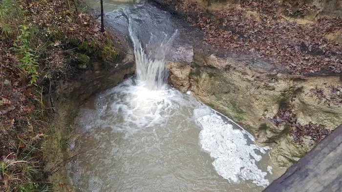 Boykin Springs Recreation Area Picture 2