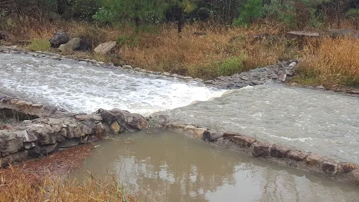 Boykin Springs Recreation Area Picture 4