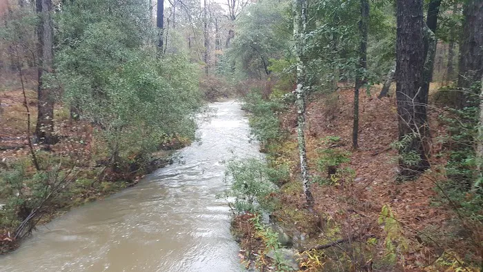 Boykin Springs Recreation Area Picture 9