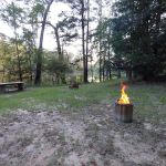 Bouton Lake Campground - Angelina National Forest