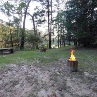 Bouton Lake Campground - Angelina National Forest ico