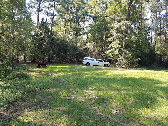 Bouton Lake Campground - Angelina National Forest Picture 4