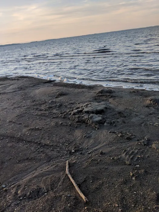 Tolna Bay Campground Picture 9