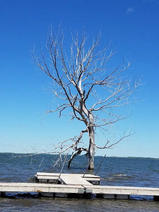 Tolna Bay Campground Picture 4