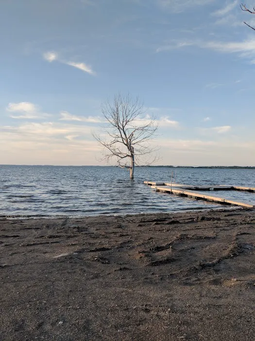 Tolna Bay Campground Picture 6