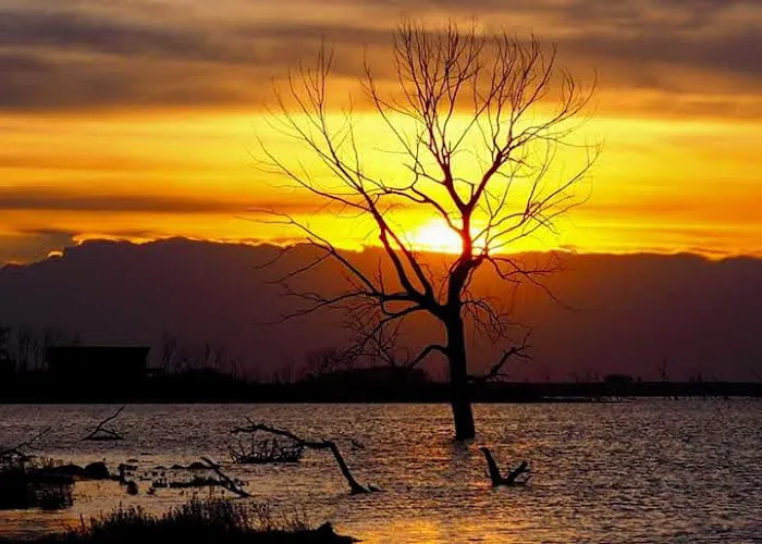 Tolna Bay Campground Picture 3