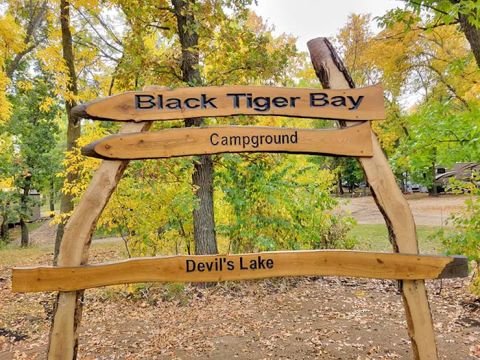 Black Tiger Bay Campground (Long-term Lot Rentals) Picture 8