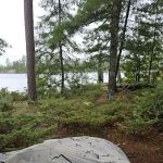 BWCA Campsite #421