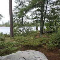 BWCA Campsite #421 ico