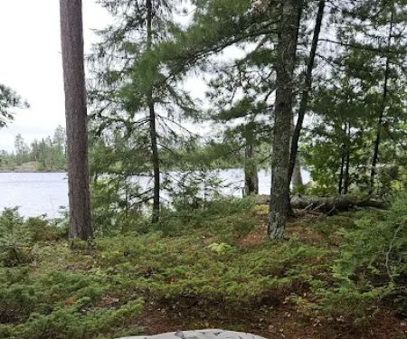 BWCA Campsite #421