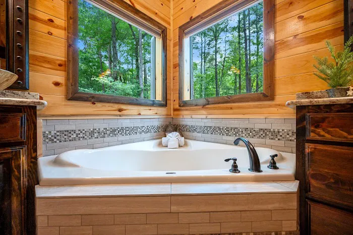 Mountain Creek Cabin Picture 4