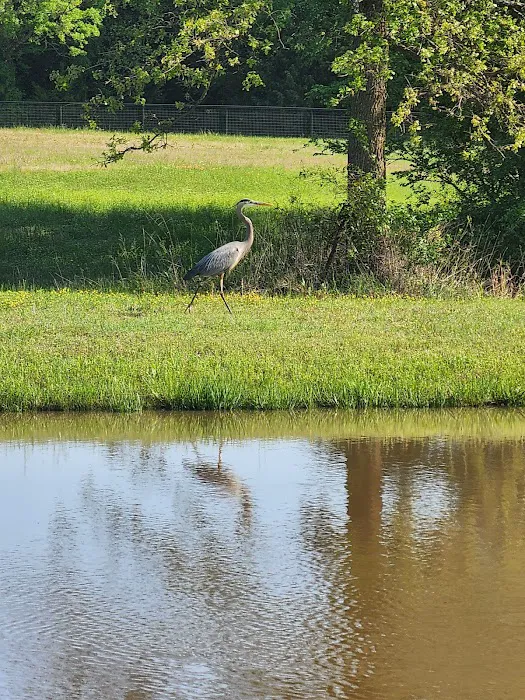 Coyote Creek RV Picture 2
