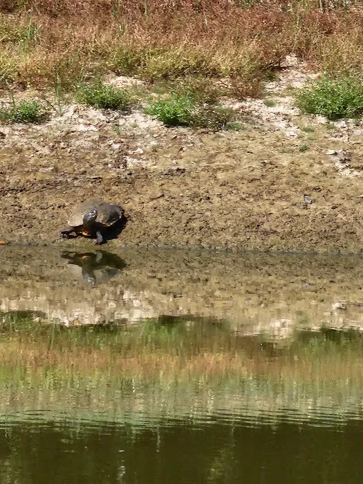 Coyote Creek RV Picture 4