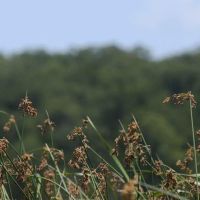 Lake Murray State Park - Rock Tower Campground ico