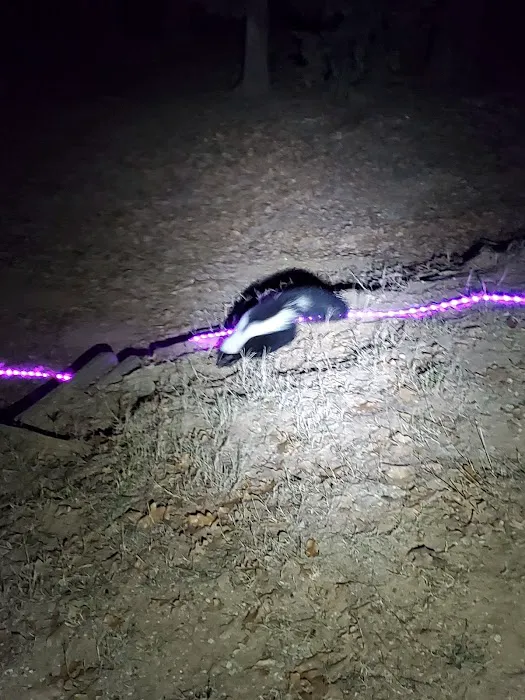 Rock Tower Campground Picture 2