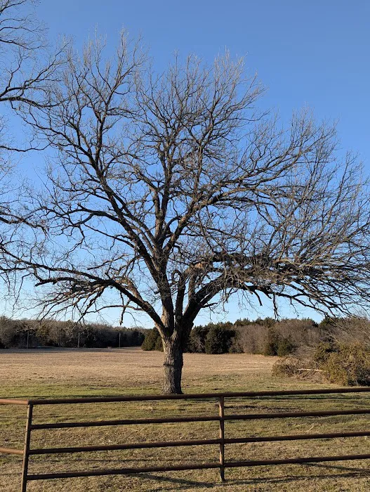 Rustic Fish Shack Picture 1